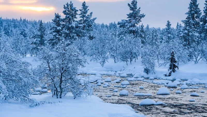 Народные приметы на 27 января: что нельзя делать в этот день