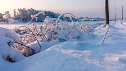 Снег и до -28 градусов: прогноз погоды в Сахалинской области на 6 декабря