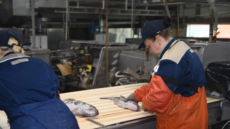 "Курильский рыбак" и "Южно-Курильский рыбокомбинат" получили 300 миллионов из областного бюджета