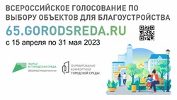 Больше 30 тысяч жителей Сахалина и Курил проголосовали за благоустройство территории