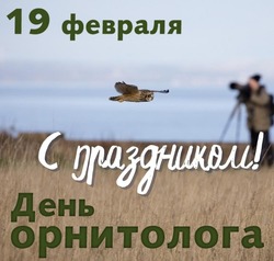 Картинки и открытки на День орнитолога 2025