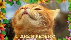 Красивые и прикольные картинки на День рыжих 2024
